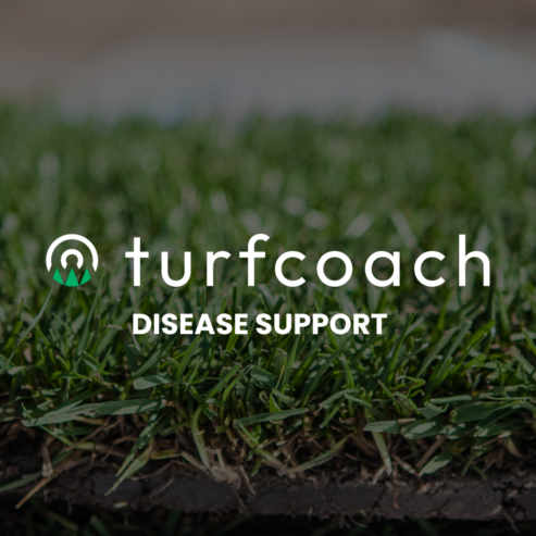 Disease Support Website